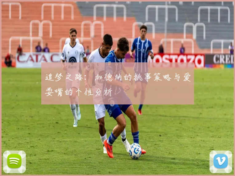 追梦之路：加德纳的挑事策略与爱耍嘴的个性分析